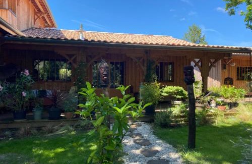 Lanton Lit Et Petit-Déjeuner | Chambre d'hôtes sous la canopée