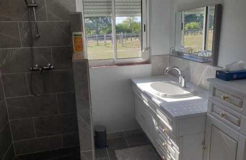 Chateauneuf-sur-Sarthe Lit Et Petit-Déjeuner | Chambre d'hôte de l'élevage du Lattay