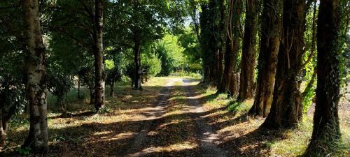 Saint-Andre-de-Cubzac Lit Et Petit-Déjeuner | Chambre de La Lagune