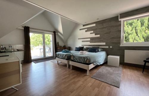 Schweighouse-sur-Moder Maison | Chambre Executive Luxe et Confort pour vos Séjours