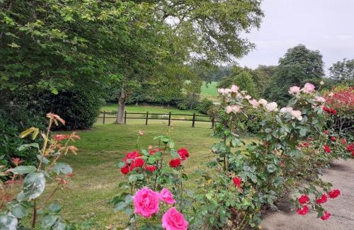 Saint-Ouen-des-Alleux Lit Et Petit-Déjeuner | Chambre à la campagne