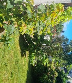 Saint-Pierre Maison | Chambre privée dans Maison au Quartier Calme