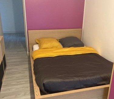 Blagnac Maison | Chambres chez l'habitante Hermès à Blagnac