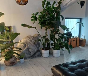 Saint Michel d'Euzet Maison | Chambres d'Hôtes & Spa privatif - Le Loft Gard