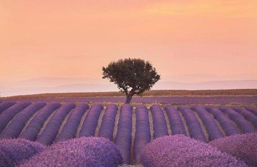 Sault Maison | Chambres entre Ventoux et luberon