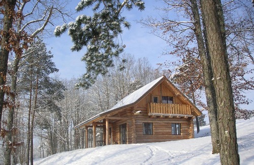 Essoyes Chalet De Ski | chalet en rondins en champagne avec PISCINE (en été) et SAUNA