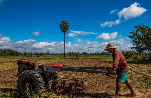 Sout Nikom Maison | Chansor Homestay 10 By Siem Reap Homesteading