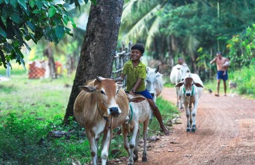 Sout Nikom Maison | Chansor Homestay 10 By Siem Reap Homesteading