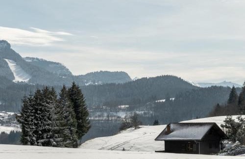 Araches-la-Frasse Appartement | Charmant 2 pièces cabine, 4 pers, terrasse sud, proche village et pistes, parking privé - FR-1-572-293