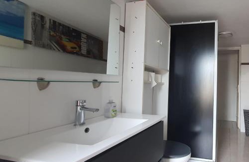 La Ferte-Gaucher Appartement | Charmant appartement 2p avec piscine partagée