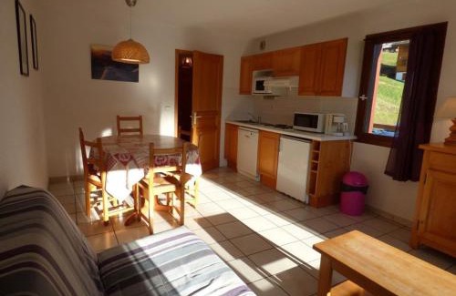 Le Grand-Bornand Appartement | Charmant appartement 6 pers, 38m², proche télécabines, centre et loisirs, sud, terrasse - FR-1-458-118