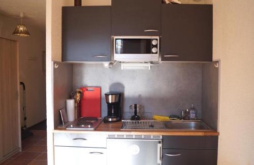 Barcelonnette Appartement | Charmant appartement T2 à Barcelonnette, 4 pers, balcon avec vue, parking - FR-1-165A-104