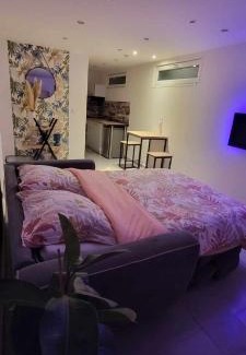 Saint-Hilaire-du-Rosier Appartement | charmant studio