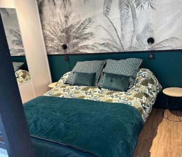 Arbonne Appartement | Charmant studio climatisé avec chambre séparée, à 3 kms de Biarritz et Bidart