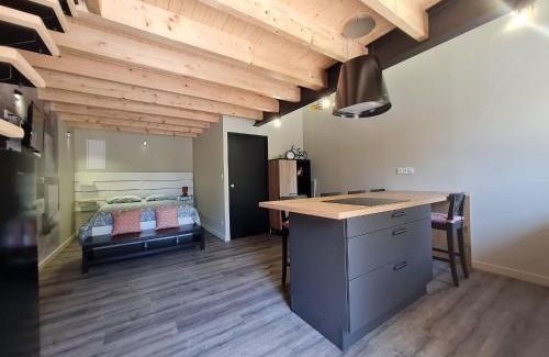 Rochetrejoux Maison | Charmant studio rénové avec mezzanine, cour privative et parking à Rochetrejoux - FR-1-426-479
