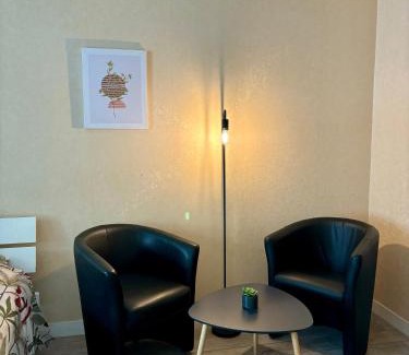 Tours Appartement | Charmant studio tours nord