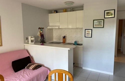 Soustons Appartement | Charmant T2 avec piscine et terrasse face au lac, parking privé, animaux acceptés - FR-1-379-55