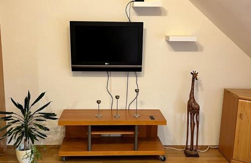 Nymphenburg Appartement | Charmantes Appartement - München