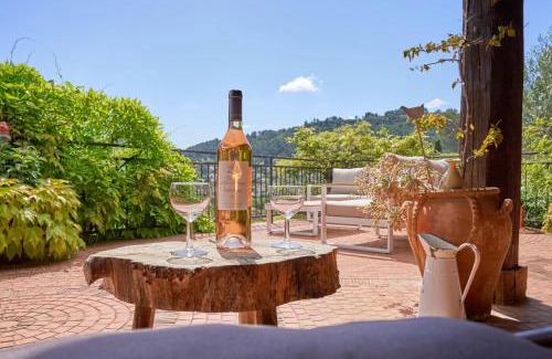 Sollies-Toucas Maison | Charme provençal Les amandiers piscine et animaux