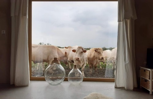Saint-Forgeux-Lespinasse Cottage | Maison authentique avec piscine chauffée, spa, sauna et cabane au cœur des pâturages