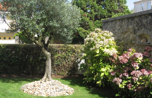 Saint-Georges-de-Didonne Appartement | Charming studio for 2 people with terrace 100 meters from the sea and the beach