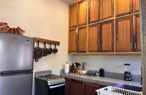 San Agustinillo Appartement | Charming 1-bedroom apartment garden and ocean view San Agustinillo with AC