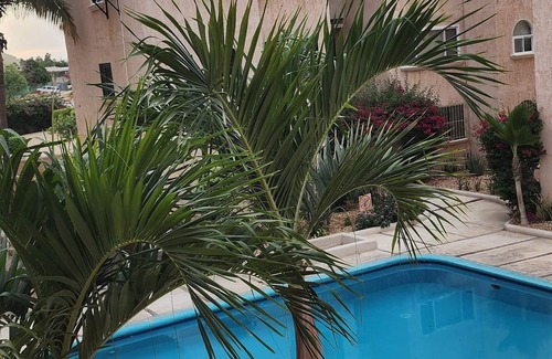 Ampliacion Juarez Copropriété | Charming 1-bedroom Cabo condo, walkable, WiFi, AC, near beaches and nightlife!