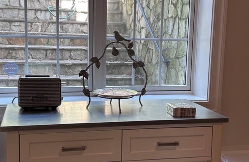 Arlington Appartement | Charming 1-bedroom apartment in fabulous Arlington with AC