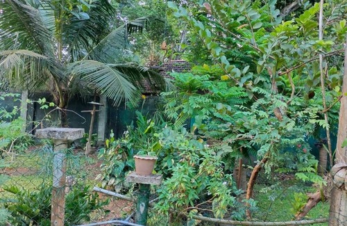 Kaduruduwa Appartement | Charming 1-bedroom apartment in fabulous Galle with AC, WiFi