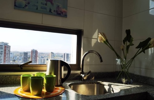 Concepcion Appartement | Charming 1-bedroom apartment in Concepción with WiFi access