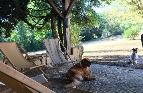 Bergerac Maison | Maison de charme du 17 éme siècle sur 1 ha de terrain à 4 minutes de Bergerac