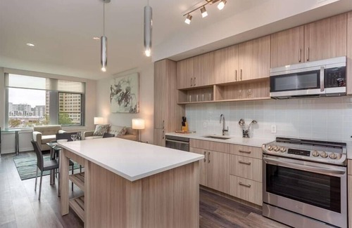 Reston Appartement | Charming 1BR in the heart of RTC | Mins to Airport