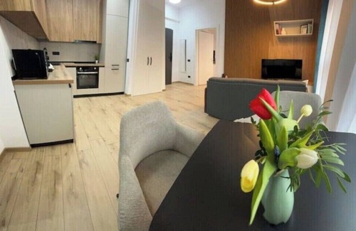 Timisoara Appartement | Charming 2-bedroom apartment in Timișoara with AC