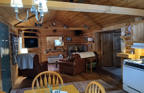 Waverly Cabine | Charming 2-bedroom cabin in the lovely hills of Pike county. Why book a hotel?
