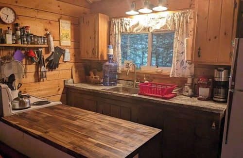 Brantingham Cabine | Charming 2-bedroom on Serene Lake Cabin in Greig