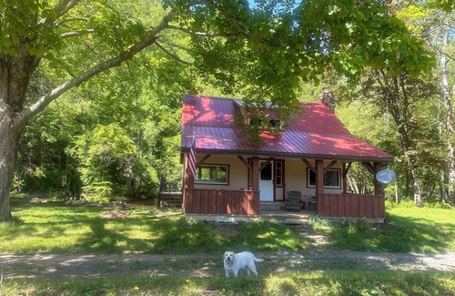 Lairdsville Cabine | Charming 2-bedroom cabin on Muncy Creek, near Muncy Valley with AC