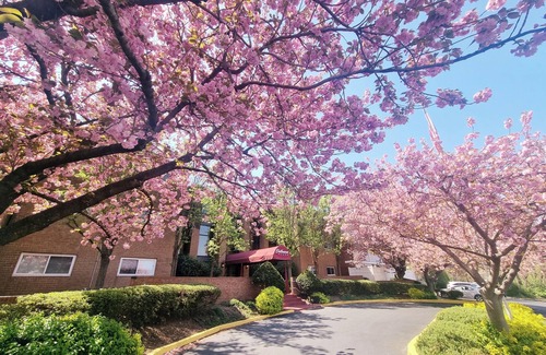 Elkins Park Appartement | Charming 2BR 2B in Elkins Park