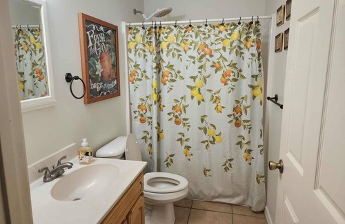 Ocklawaha Maison | Charming 3 bedroom house in the heart of the Ocala national forest.