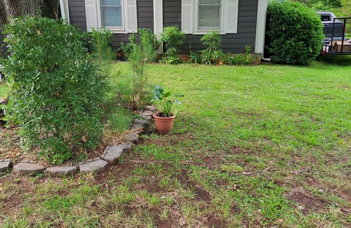 Jacksonville Maison | Charming 3-bedroom house in superb Jacksonville with AC, WiFi