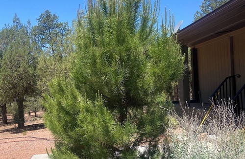 Star Valley Maison | Charming 3-bedroom country house with WiFi, AC in Star Valley