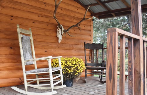 Williamsburg Cabine | Charming 3-bedroom rustic cabin with WiFi in wonderful Williamsburg