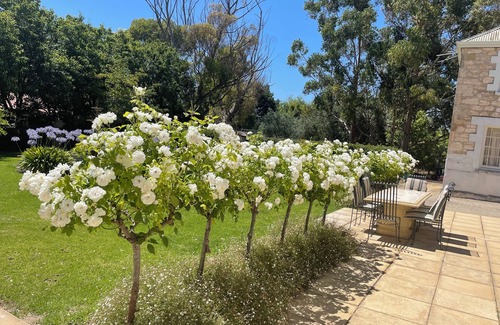 Naracoorte Maison | Charming 4-bedroom Historic Homestead with AC & 3 acres of gardens in Naracoorte