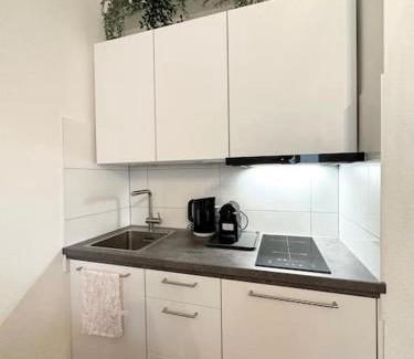Freiburg im Breisgau Appartement | Charming Apartment-City Center