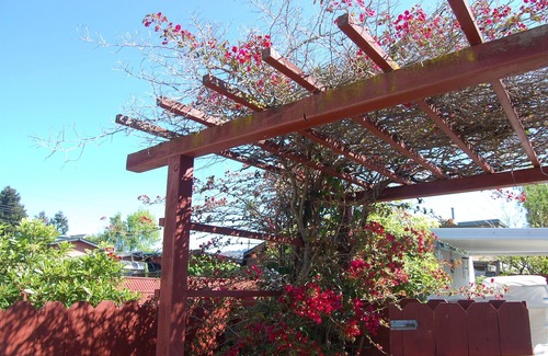 Northwest Berkeley Cottage | Charme Berkeley Craftsman Cottage