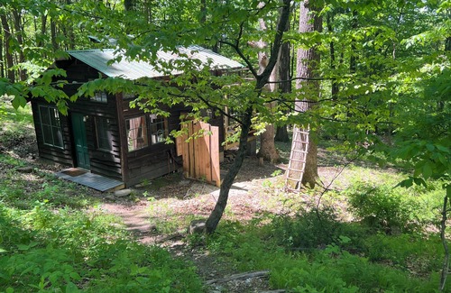 Ghent Cabine | Charming Cabin in the Woods. POOL!