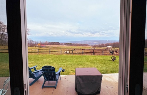 Portage Maison | Charming Cabin on horse farm minutes from Letchworth State park