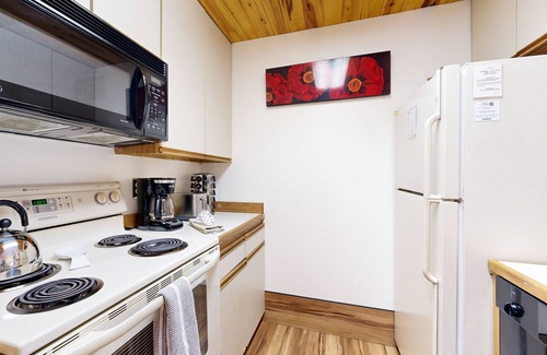 Crested Butte Copropriété | Charming condo with mountain views, washer/dryer, & shared hot tub