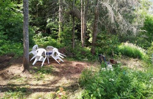 Sainte-Beatrix Chalet De Ski | Charming Cottage In a Peaceful Forest & Calm River