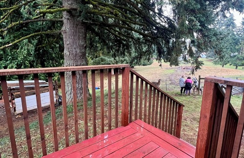 St. Helens Cottage | Charming Cottage In Gorgeous St Helens Frog’s Hollow Is Family & Pet Friendly