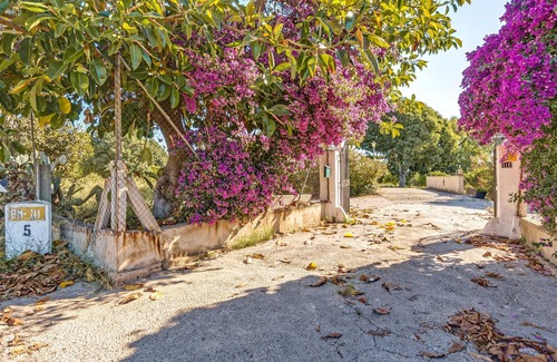 Palma de Mallorca Villa | Charmante maison de campagne - Villa Es Molí de 'n Palmer